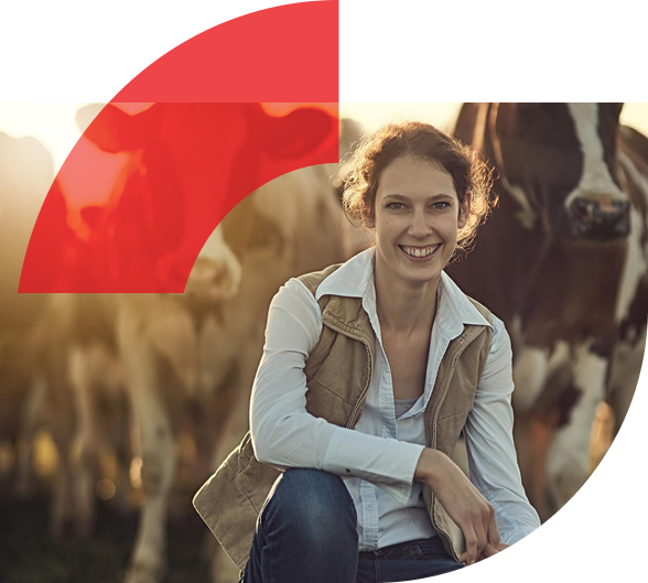 Atendendo o mercado com excelência há 10 anos